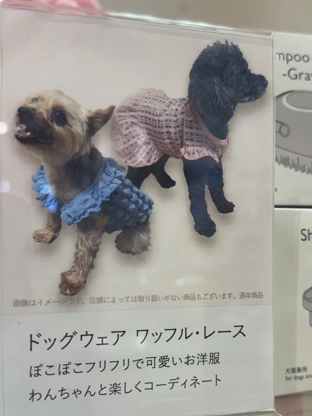Blue Waffle Lace Dog Dress - Cute Frilly Pet Apparel